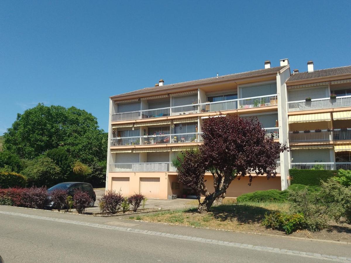 Appartement Avec Balcon : Le Serenity Turckheim Luaran gambar